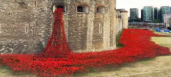 888 246 poppies at tower of london