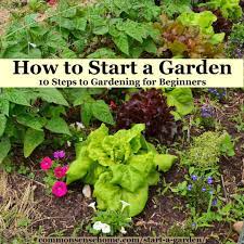 how to start a garden 10 steps to