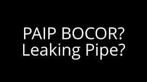 Image result for PAIP BOCOR