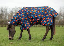 mark todd umweight pony turnout rug