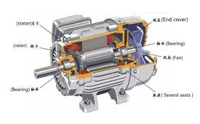 how are squirrel cage induction motors