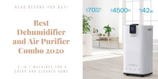 best dehumidifier and air purifier
