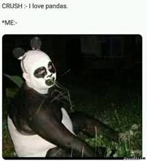 panda memes memezila com