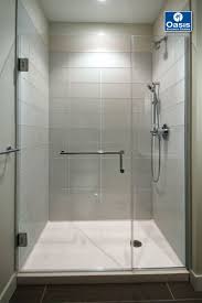 frameless shower doors panels oasis