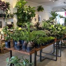 Nurseries Gardening In Toronto