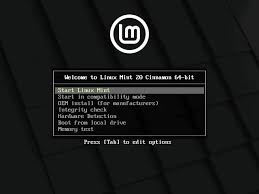 linux mint 20 ulyana installation