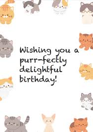 80 birthday wishes for cat free