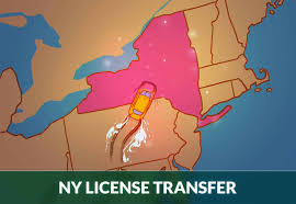 license to new york