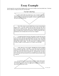 Essay Writing Structure Examples Under Fontanacountryinn Com