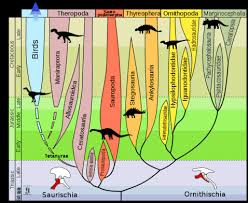 Creationtips Com Dinosaur Evolution Chart