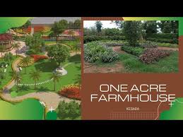 One Acre Farmhouse Landscaping