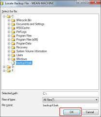 ways to open and view ms sql bak files