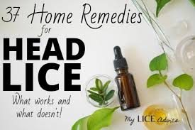 37 home remes for lice find out