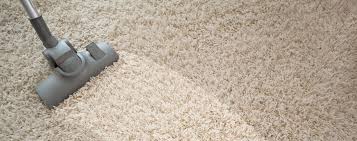 carpet cleaning services in miami eco
