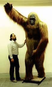 Massimo on Twitter: "Gigantopithecus blacki is an extinct species of ape from the Early to Middle Pleistocene of southern China. It went extinct 300,000 years ago likely due to climate change and