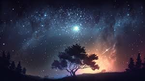 starry sky tree silhouette romantic
