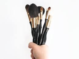 this story of dirty makeup brushes will