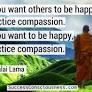 dalai lama meditation quotes from www.successconsciousness.com