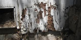 Does homeowners insurance cover termites. How Long Does It Take For Termites To Destroy Your Home Realestatesmarter Com