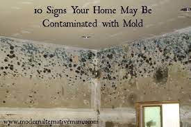 contaminated with mold