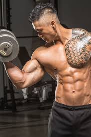 Image result for muscular arms