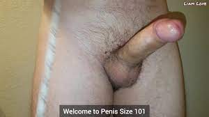 Penis sex