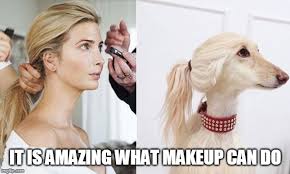 makeup flip