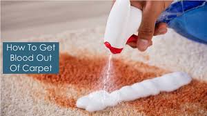 ppt how to get blood out of carpet