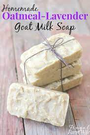 oatmeal lavender goat milk soap the