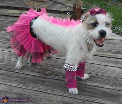 punk rocker princess dog costume no
