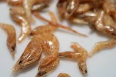 What is dried shrimp called?