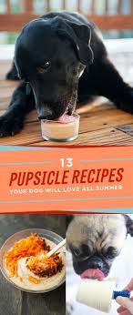 Summer rolls with peanut dipping sauce. 13 Frozen Treats To Make For Your Doggo All Summer Long
