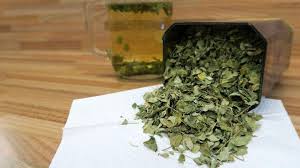 Salah satu cara mengolah daun kelor yang paling populer adalah menyeduhnya seperti teh. Cek Cara Mengkonsumsi Daun Kelor Agar Manfaatnya Optimal Gaya Tempo Co