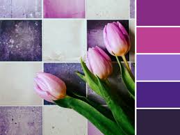 gama de colores violetas pintura de