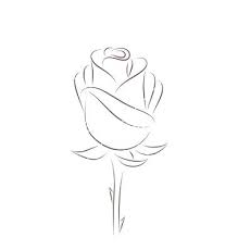 Stock photo, images and stock photography. Easy Tiny Rose Drawing Novocom Top