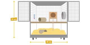 Housing Your Gerbil Cleaning