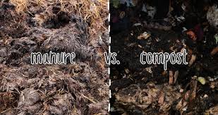 Compost Vs Manure Complete Guide