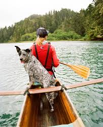 best dog friendly vacations 25 trips