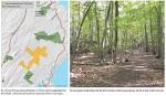 132 Acres Protected in Cape Neddick Focus Area - York Land ...