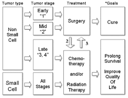 Tnm And Staging Of Lung Cancer Simplified Epomedicine