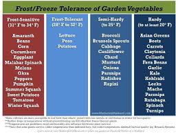 Freeze Tolerance Of Vegetables Inside Growing Tunnels