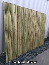 1 solid cane bamboo fencing canada s