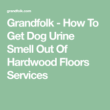 how to remove dog urine smell from