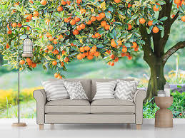 3d Wallpaper Orange Tree Poster Wall