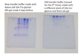 protein transfer using old buffer