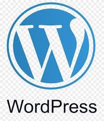 blue wordpress icon design on
