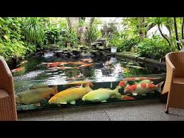 Beautiful Backyard Fish Ponds