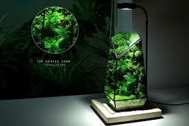 This Glass Terrarium Encases
