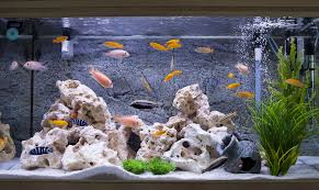 types of aquarium covers