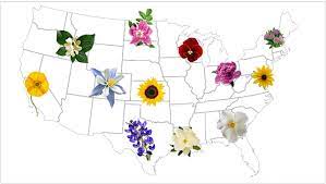official state flowers for usa teleflora